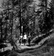 uomo (Positivo) di Foto Elisabeth Fuchs-Hauffen, Überlingen/Bodensee,Fuchs-Hauffen, Elisabeth (1968/07/01 - 1968/07/31)