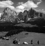 uomo (Positivo) di Foto Elisabeth Fuchs-Hauffen, Überlingen/Bodensee,Fuchs-Hauffen, Elisabeth (1966/07/01 - 1966/07/31)