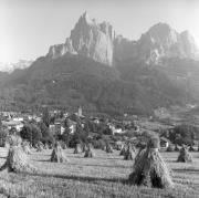 Heu: Harpfe (Positivo) di Foto Elisabeth Fuchs-Hauffen, Überlingen/Bodensee,Fuchs-Hauffen, Elisabeth (1966/09/01 - 1966/09/93)