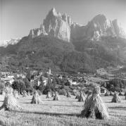 Heu: Harpfe (Positivo) di Foto Elisabeth Fuchs-Hauffen, Überlingen/Bodensee,Fuchs-Hauffen, Elisabeth (1966/09/01 - 1966/09/93)