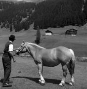 uomo (Positivo) di Foto Elisabeth Fuchs-Hauffen, Überlingen/Bodensee,Fuchs-Hauffen, Elisabeth (1966/07/01 - 1966/07/31)