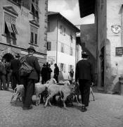 uomo (Positivo) di Foto Elisabeth Fuchs-Hauffen, Überlingen/Bodensee,Fuchs-Hauffen, Elisabeth (1966/07/01 - 1966/07/31)