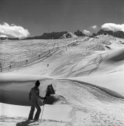 Skifahrer (Positivo) di Foto Elisabeth Fuchs-Hauffen, Überlingen/Bodensee,Fuchs-Hauffen, Elisabeth (1977/03/01 - 1977/03/31)