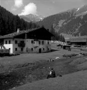 cavallo (Positivo) di Foto Elisabeth Fuchs-Hauffen, Überlingen/Bodensee,Fuchs-Hauffen, Elisabeth (1966/09/01 - 1966/09/93)