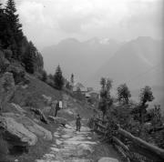 Feldweg (Positivo) di Foto Elisabeth Fuchs-Hauffen, Überlingen/Bodensee,Fuchs-Hauffen, Elisabeth (1966/09/01 - 1966/09/93)