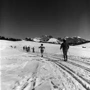 Langläufer (Positivo) di Foto Elisabeth Fuchs-Hauffen, Überlingen/Bodensee,Fuchs-Hauffen, Elisabeth (1979/02/01 - 1979/02/28)