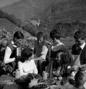 Törggelen (Positivo) di Foto Elisabeth Fuchs-Hauffen, Überlingen/Bodensee,Fuchs-Hauffen, Elisabeth (1966/10/01 - 1966/10/31)