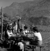 Törggelen (Positivo) di Foto Elisabeth Fuchs-Hauffen, Überlingen/Bodensee,Fuchs-Hauffen, Elisabeth (1966/10/01 - 1966/10/31)