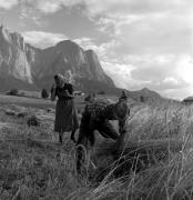 Feldarbeit (Positivo) di Foto Elisabeth Fuchs-Hauffen, Überlingen/Bodensee,Fuchs-Hauffen, Elisabeth (1969/08/01 - 1969/08/31)