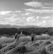 Feldarbeit (Positivo) di Foto Elisabeth Fuchs-Hauffen, Überlingen/Bodensee,Fuchs-Hauffen, Elisabeth (1969/08/01 - 1969/08/31)