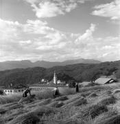 Feldarbeit (Positivo) di Foto Elisabeth Fuchs-Hauffen, Überlingen/Bodensee,Fuchs-Hauffen, Elisabeth (1969/08/01 - 1969/08/31)