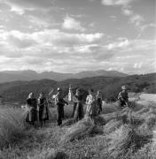 Feldarbeit (Positivo) di Foto Elisabeth Fuchs-Hauffen, Überlingen/Bodensee,Fuchs-Hauffen, Elisabeth (1969/08/01 - 1969/08/31)