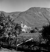 vigneto (Positivo) di Foto Elisabeth Fuchs-Hauffen, Überlingen/Bodensee,Fuchs-Hauffen, Elisabeth (1971/03/01 - 1971/03/31)