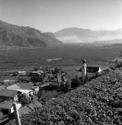 vigneto (Positivo) di Foto Elisabeth Fuchs-Hauffen, Überlingen/Bodensee,Fuchs-Hauffen, Elisabeth (1971/03/01 - 1971/03/31)