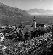 vigneto (Positivo) di Foto Elisabeth Fuchs-Hauffen, Überlingen/Bodensee,Fuchs-Hauffen, Elisabeth (1971/03/01 - 1971/03/31)