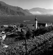 vigneto (Positivo) di Foto Elisabeth Fuchs-Hauffen, Überlingen/Bodensee,Fuchs-Hauffen, Elisabeth (1971/03/01 - 1971/03/31)