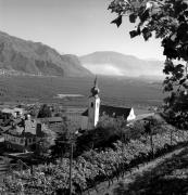 vigneto (Positivo) di Foto Elisabeth Fuchs-Hauffen, Überlingen/Bodensee,Fuchs-Hauffen, Elisabeth (1971/03/01 - 1971/03/31)