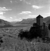 Schloss Tirol (Positivo) di Foto Elisabeth Fuchs-Hauffen, Überlingen/Bodensee,Fuchs-Hauffen, Elisabeth (1970/06/01 - 1970/06/63)