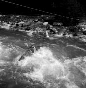 Wassersport: Kanufahren (Passer) (Positivo) di Foto Elisabeth Fuchs-Hauffen, Überlingen/Bodensee,Fuchs-Hauffen, Elisabeth (1970/06/01 - 1970/06/63)