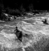 Wassersport: Kanufahren (Passer) (Positivo) di Foto Elisabeth Fuchs-Hauffen, Überlingen/Bodensee,Fuchs-Hauffen, Elisabeth (1970/06/01 - 1970/06/63)