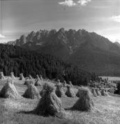 Getreideernte: Trocknen (Positivo) di Foto Elisabeth Fuchs-Hauffen, Überlingen/Bodensee,Fuchs-Hauffen, Elisabeth (1974/06/01 - 1974/06/63)