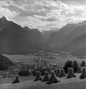 Getreideernte: Trocknen (Positivo) di Foto Elisabeth Fuchs-Hauffen, Überlingen/Bodensee,Fuchs-Hauffen, Elisabeth (1974/06/01 - 1974/06/63)