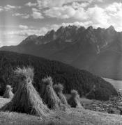 Getreideernte: Trocknen (Positivo) di Foto Elisabeth Fuchs-Hauffen, Überlingen/Bodensee,Fuchs-Hauffen, Elisabeth (1974/06/01 - 1974/06/63)