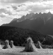 Getreideernte: Trocknen (Positivo) di Foto Elisabeth Fuchs-Hauffen, Überlingen/Bodensee,Fuchs-Hauffen, Elisabeth (1974/06/01 - 1974/06/63)