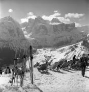 Gast (Positivo) di Foto Elisabeth Fuchs-Hauffen, Überlingen/Bodensee,Fuchs-Hauffen, Elisabeth (1979/02/01 - 1979/02/28)