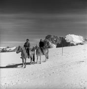 Reitsport auf der Seiseralm (Positivo) di Foto Elisabeth Fuchs-Hauffen, Überlingen/Bodensee,Fuchs-Hauffen, Elisabeth (1973/03/01 - 1973/03/31)
