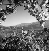 chiesa (Positivo) di Foto Elisabeth Fuchs-Hauffen, Überlingen/Bodensee,Fuchs-Hauffen, Elisabeth (1971/10/01 - 1971/10/31)