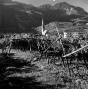 chiesa (Positivo) di Foto Elisabeth Fuchs-Hauffen, Überlingen/Bodensee,Fuchs-Hauffen, Elisabeth (1971/10/01 - 1971/10/31)