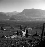 chiesa (Positivo) di Foto Elisabeth Fuchs-Hauffen, Überlingen/Bodensee,Fuchs-Hauffen, Elisabeth (1971/10/01 - 1971/10/31)