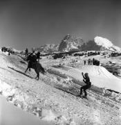 Reitsport auf der Seiseralm (Positivo) di Foto Elisabeth Fuchs-Hauffen, Überlingen/Bodensee,Fuchs-Hauffen, Elisabeth (1979/02/01 - 1979/02/28)