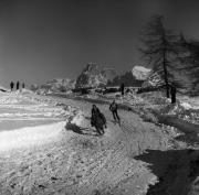 Reitsport auf der Seiseralm (Positivo) di Foto Elisabeth Fuchs-Hauffen, Überlingen/Bodensee,Fuchs-Hauffen, Elisabeth (1979/02/01 - 1979/02/28)