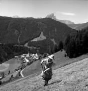 Heuernte (Grasernte) (Positivo) di Foto Elisabeth Fuchs-Hauffen, Überlingen/Bodensee,Fuchs-Hauffen, Elisabeth (1971/06/01 - 1971/06/63)