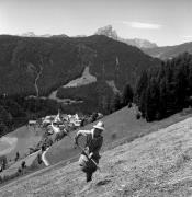 Heuernte (Grasernte) (Positivo) di Foto Elisabeth Fuchs-Hauffen, Überlingen/Bodensee,Fuchs-Hauffen, Elisabeth (1971/06/01 - 1971/06/63)