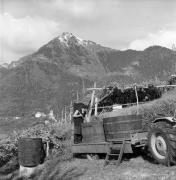 Bauer(in) / Landarbeiter(in) (Positivo) di Foto Elisabeth Fuchs-Hauffen, Überlingen/Bodensee,Fuchs-Hauffen, Elisabeth (1974/10/01 - 1974/10/31)
