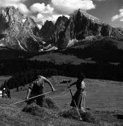 Heuernte (Grasernte) (Positivo) di Foto Elisabeth Fuchs-Hauffen, Überlingen/Bodensee,Fuchs-Hauffen, Elisabeth (1966/07/01 - 1966/07/31)