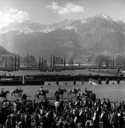 Zuschauer (Positivo) di Foto Elisabeth Fuchs-Hauffen, Überlingen/Bodensee,Fuchs-Hauffen, Elisabeth (1973/05/01 - 1973/05/31)