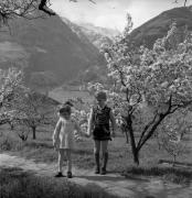 Knabe (Positivo) di Foto Elisabeth Fuchs-Hauffen, Überlingen/Bodensee,Fuchs-Hauffen, Elisabeth (1973/05/01 - 1973/05/31)