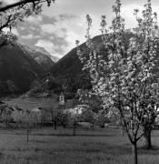 Kirche Laas St. Sisinius (Positivo) di Foto Elisabeth Fuchs-Hauffen, Überlingen/Bodensee,Fuchs-Hauffen, Elisabeth (1973/05/01 - 1973/05/31)