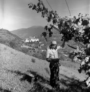 Kloster Benediktinerinnen Säben (Positivo) di Foto Elisabeth Fuchs-Hauffen, Überlingen/Bodensee,Fuchs-Hauffen, Elisabeth (1973/10/01 - 1973/10/31)