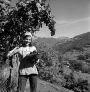 vendemmia (Positivo) di Foto Elisabeth Fuchs-Hauffen, Überlingen/Bodensee,Fuchs-Hauffen, Elisabeth (1973/10/01 - 1973/10/31)