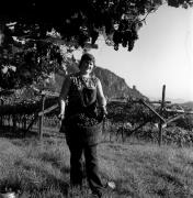 vendemmia (Positivo) di Foto Elisabeth Fuchs-Hauffen, Überlingen/Bodensee,Fuchs-Hauffen, Elisabeth (1973/10/01 - 1973/10/31)
