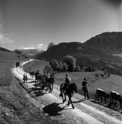 Pferdekutsche (Positivo) di Foto Elisabeth Fuchs-Hauffen, Überlingen/Bodensee,Fuchs-Hauffen, Elisabeth (1968/09/01 - 1968/09/93)