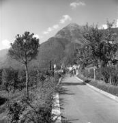 Spaziergänger (Positivo) di Foto Elisabeth Fuchs-Hauffen, Überlingen/Bodensee,Fuchs-Hauffen, Elisabeth (1973/10/01 - 1973/10/31)