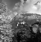 Schloß Prösels (Positivo) di Foto Elisabeth Fuchs-Hauffen, Überlingen/Bodensee,Fuchs-Hauffen, Elisabeth (1975/10/01 - 1975/10/31)