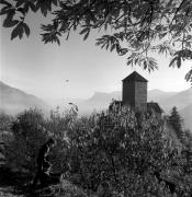 Spaziergänger (Positivo) di Foto Elisabeth Fuchs-Hauffen, Überlingen/Bodensee,Fuchs-Hauffen, Elisabeth (1973/11/01 - 1973/11/13)