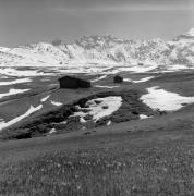 Krokus (Positivo) di Foto Elisabeth Fuchs-Hauffen, Überlingen/Bodensee,Fuchs-Hauffen, Elisabeth (1969/05/01 - 1969/05/31)
